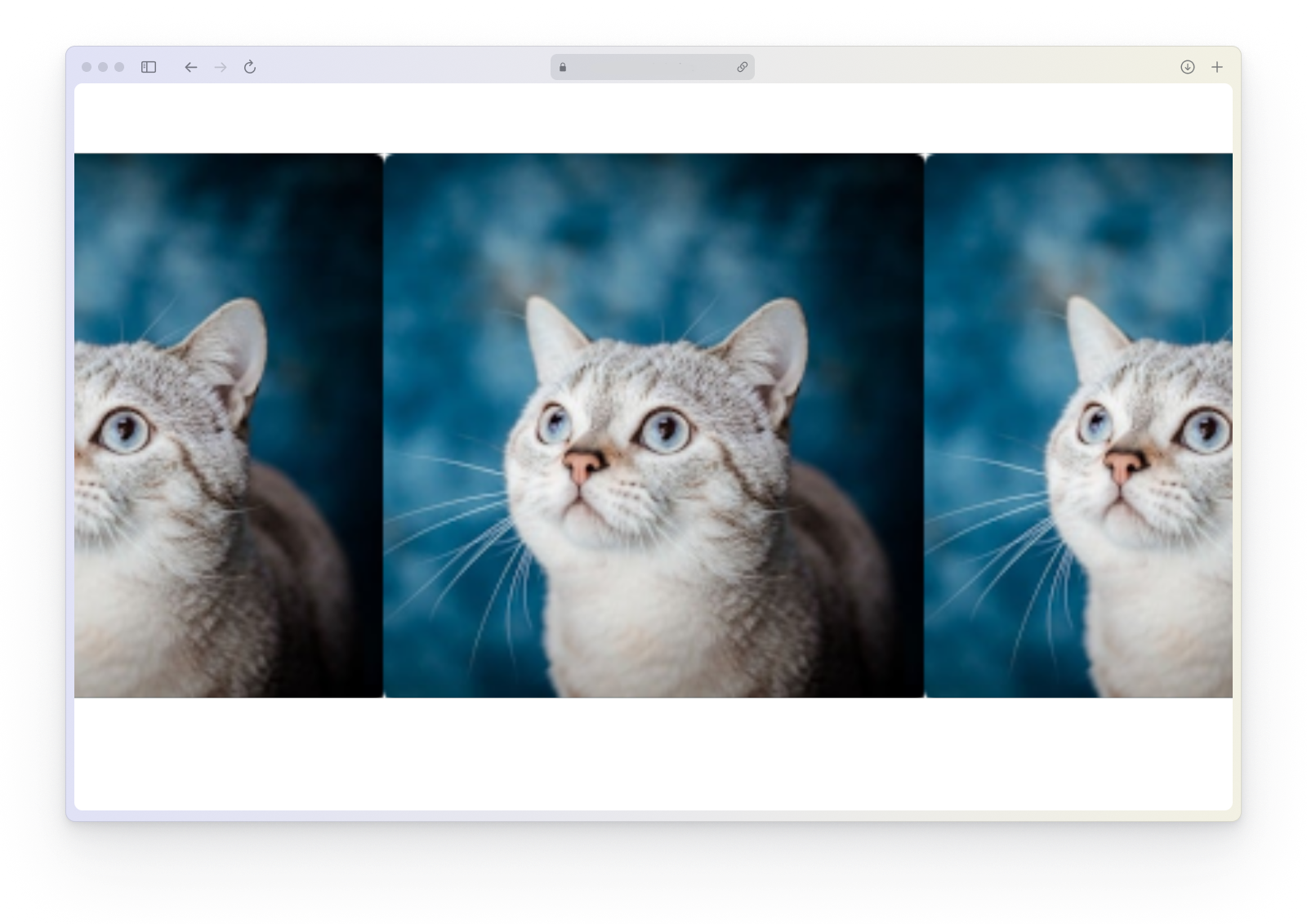 Page background image repeat example